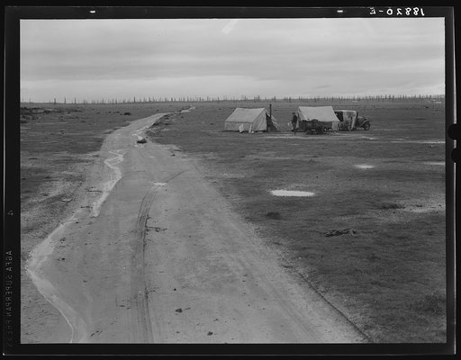 Untitled photo, possibly related to: Kern County, California. Camp of two related families seen from U.S. 99. Oil field beyond. Came to California in 1920 from Missouri. Father had job for eight years. Was gang foreman on Los Angeles Aqueduct; laid off two months ago. Now on way north looking for wo
