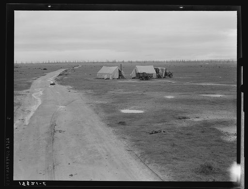 Untitled photo, possibly related to: Kern County, California. Camp of two related families seen from U.S. 99. Oil field beyond. Came to California in 1920 from Missouri. Father had job for eight years. Was gang foreman on Los Angeles Aqueduct; laid off two months ago. Now on way north looking for wo