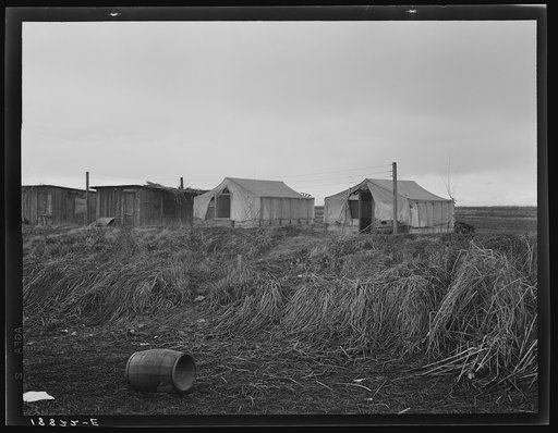 Buttonwillow, California. "Company" cotton pickers camp, after picking season. Some families remain for tag ends of picking and for pulling bolls, or for lack of other winter quarters