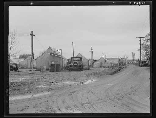 Strathmore, California. Orange picker's camp. One dollar a week rental