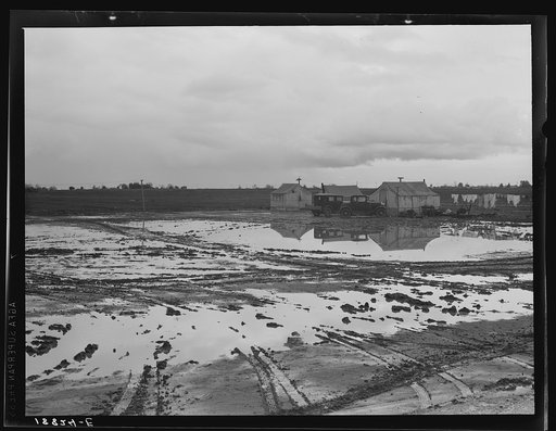 Kern County, California. Migratory workers in winter quarters