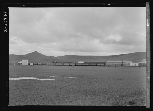 Orange packing shed. Strathmore, California