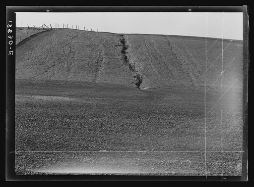 Near Santa Maria, California. Erosion from the pea fields