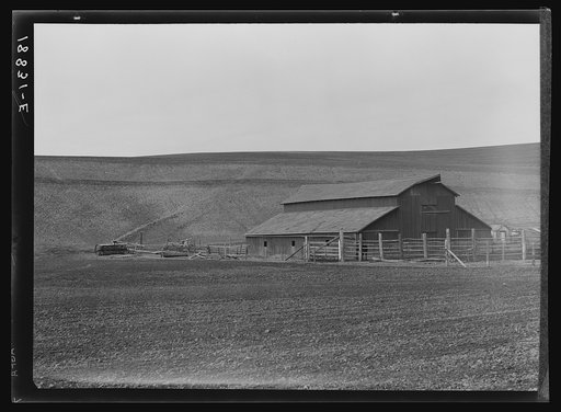 Small dairy farm near Santa Maria, California