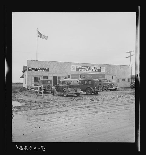 Untitled photo, possibly related to: Buttonwillow, California. New large-scale cotton farming district