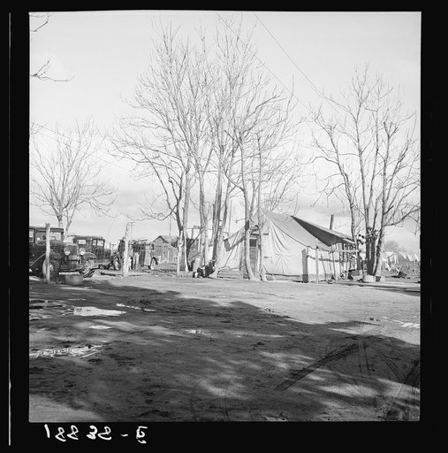 Farmersville, Tulare County. Migrants' winter quarters