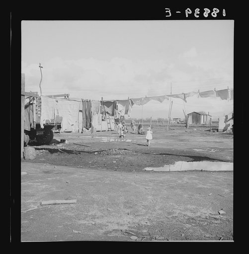 Farmersville, Tulare County. Migrants' winter quarters