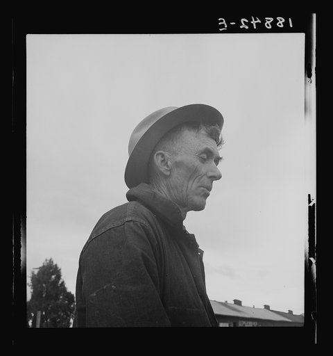 Buttonwillow, Kern County, California. On the land since the cattle days of Miller and Lux. Now cotton district
