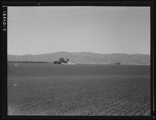 Near King City, California. Large-scale agriculture (peas) and old style California ranch house