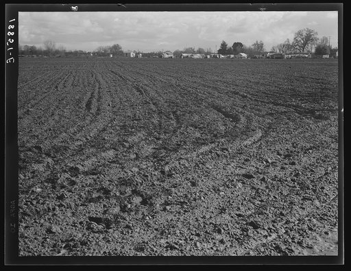 Farmersville, Tulare County. Migrants' winter quarters