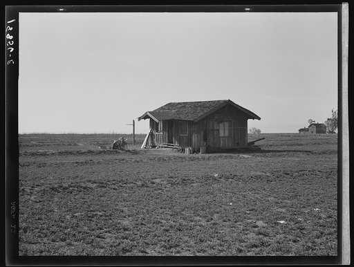 On the plains west of Fresno, California. Family of seven from Oregon dairy ranch which they lost. "We tried to get too big, I guess. Milk cans are all that's left of the dairy. Now pick bolls to make fifty cents to one dollar a day. We can't work every day or maybe we could get by." Rent for house 