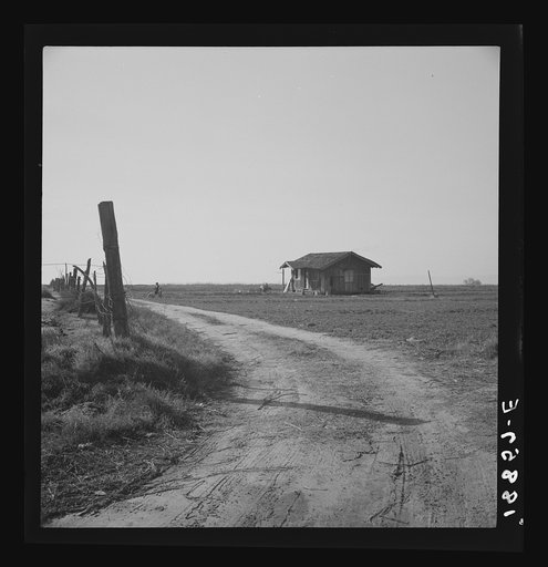 On the plains west of Fresno, California. See 18856 for background