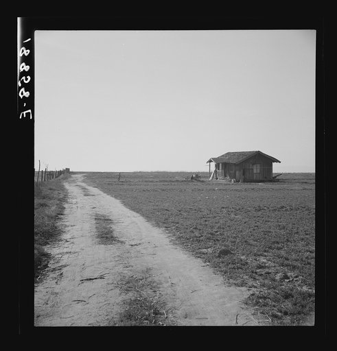 Untitled photo, possibly related to: On the plains west of Fresno, California. See 18856 for background