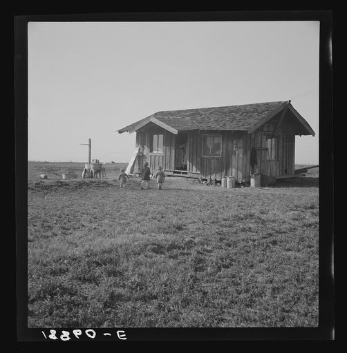 Untitled photo, possibly related to: On the plains west of Fresno, California. Family of seven from Oregon dairy ranch which they lost. "We tried to get too big, I guess. Milk cans are all that's left of the dairy. Now pick bolls to make fifty cents to one dollar a day. We can't work every day or ma