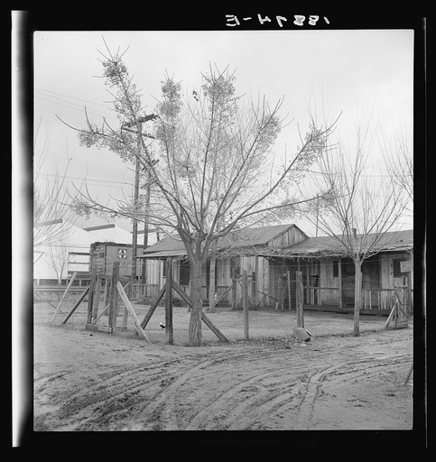 Lindsay, California. Houses inhabited by Mexican citrus workers. Tulare County