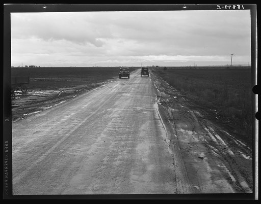 Kern County, California. County road between potato fields