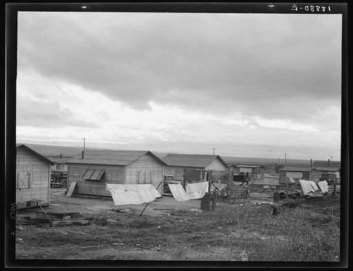 Bottonwillow, California. "Company" cotton pickers' camp after picking season. Some families remain for tag ends of picking and pulling bolls, or for lack of other winter quarters