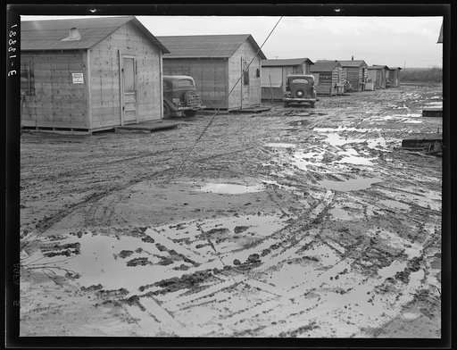 Bottonwillow, California. "Company" cotton pickers' camp after picking season. Some families remain for tag ends of picking and pulling bolls, or for lack of other winter quarters