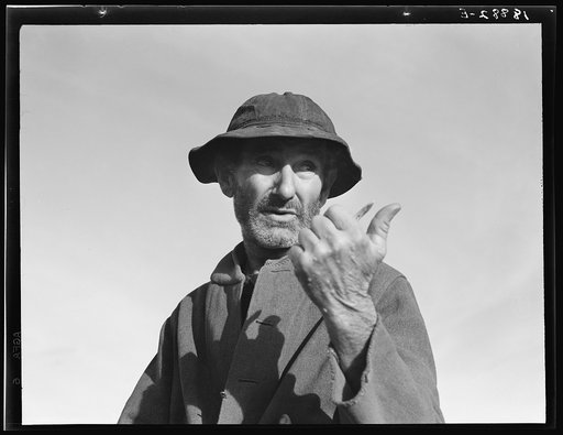 Cotton picker near Firebaugh, California
