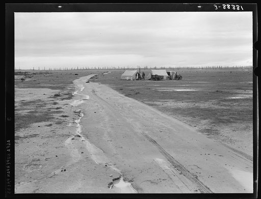 Kern County, California. Camp of two related families seen from U.S. 99. Oil field beyond. Came to California in 1920 from Missouri. Father had job for eight years. Was gang foreman on Los Angeles Aqueduct; laid off two months ago. Now on way north looking for work. Doesn't want to go on Work Projec