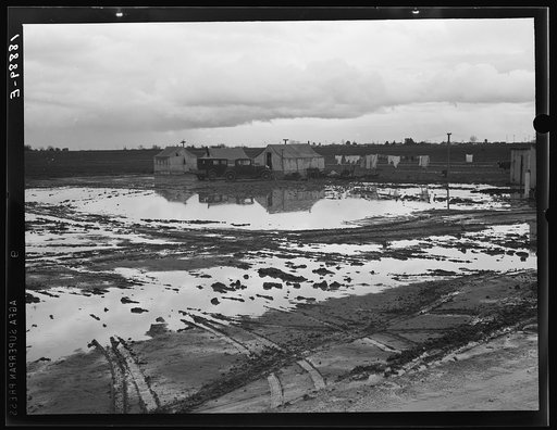 Untitled photo, possibly related to: Kern County, California. Migratory workers in winter quarters