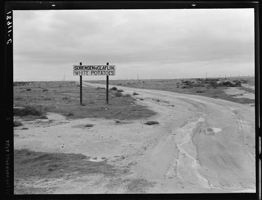 Kern County, California. Beside U.S. 99. Large-scale agriculture
