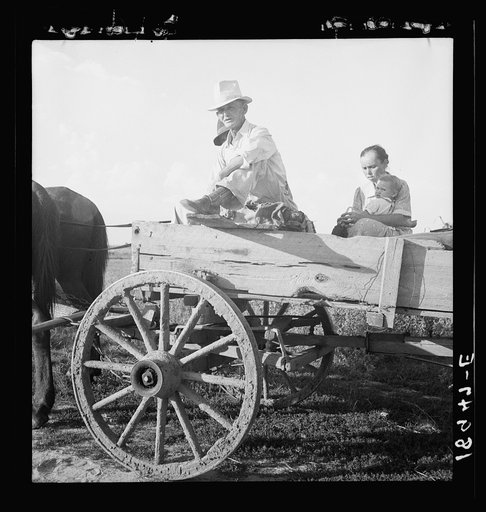 Untitled photo, possibly related to: Horse and wagon is still a common means of transportation. Family coming from town on a Saturday afternoon. Southeast Missouri Farms