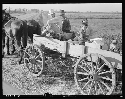 Untitled photo, possibly related to: Horse and wagon is still a common means of transportation. Family coming from town on a Saturday afternoon. Southeast Missouri Farms