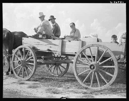 Untitled photo, possibly related to: Horse and wagon is still a common means of transportation. Family coming from town on a Saturday afternoon. Southeast Missouri Farms