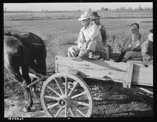 Horse and wagon is still a common means of transportation. Family coming from town on a Saturday afternoon. Southeast Missouri Farms