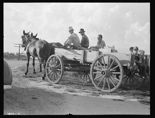Horse and wagon is still a common means of transportation. Family coming from town on a Saturday afternoon. Southeast Missouri Farms