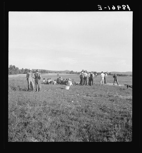 Untitled photo, possibly related to: Near Mountain Home, northern Arkansas, on U.S. 62. Farmers' baseball game in the country. From this area many have gone to California to work in agriculture