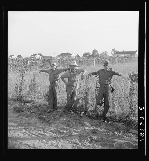 Untitled photo, possibly related to: Farm Security Administration (FSA) cooperative farm, Lake Dick, Arkansas. All farmers on this project are young Arkansas farmers selected from all parts of the state