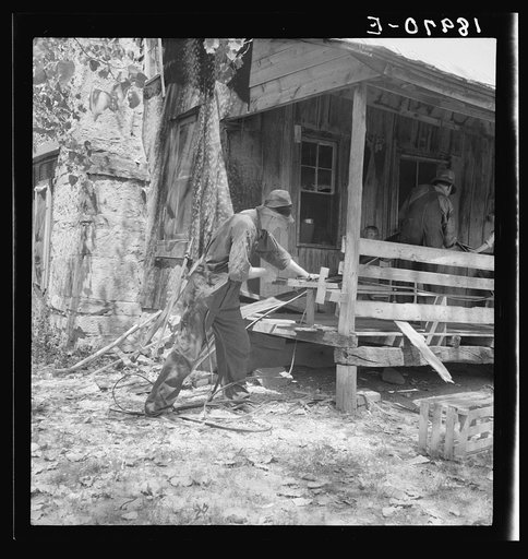In Arkansas Hills (Ozarks) near Seligman, Missouri, splitting hickory for chair-bottoms. His father before him and his son after him make furniture for a living