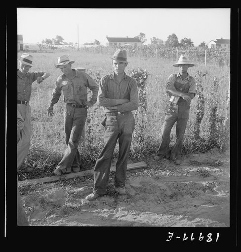 Untitled photo, possibly related to: Farm Security Administration (FSA) cooperative farm, Lake Dick, Arkansas. All farmers on this project are young Arkansas farmers selected from all parts of the state