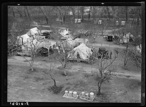 Farm Security Administration (FSA) temporary camp for migrants. Gridley, California. Peak of the season is August