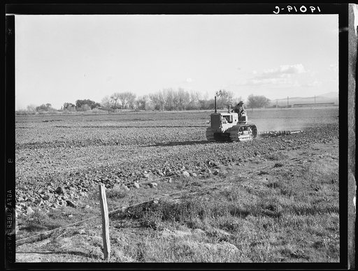West side of San Joaquin Valley, California. Caterpillar diesel type. Tractor is common in California. Only very large-scale operations can afford this type. Cultivating potato fields