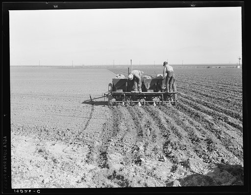 Large-scale, mechanized farming. The potato planter, operated by a crew of three men, makes the rows, fertilizes and plants potatoes in one operation. Kern County, California