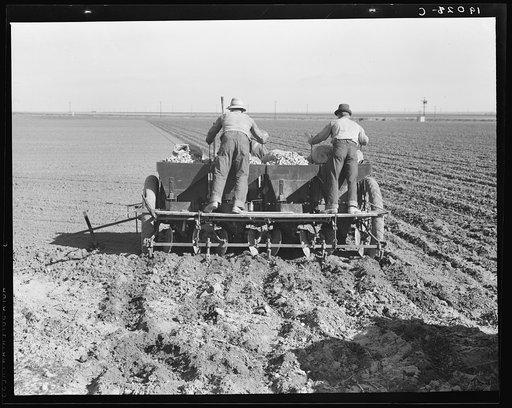 Large-scale, mechanized farming. The potato planter operated by a crew of three men, makes the rows, fertilizes and plants potatoes in one operation. Kern County, California