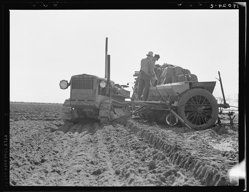 Loading bins of potato planter with fertilizer and seed from trailer at edge of field. Kern County, California