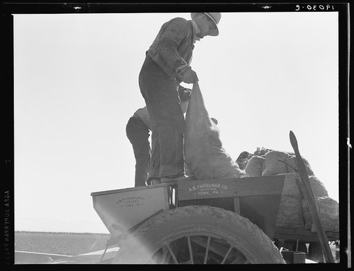 Untitled photo, possibly related to: Loading bins of potato planter with fertilizer and seed from trailer at edge of field. Kern County, California