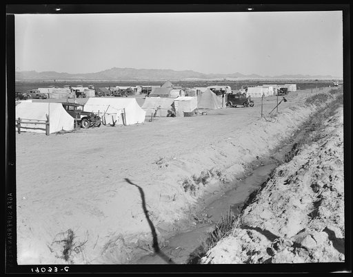 Grower's camp for pickers on large pea ranch along ditch bank. Growers' camps in Imperial Valley and elsewhere have been much improved this year largely because of influence of Farm Security Administion (FSA) migrant camp program. Near Calipatria, Imperial Valley, California