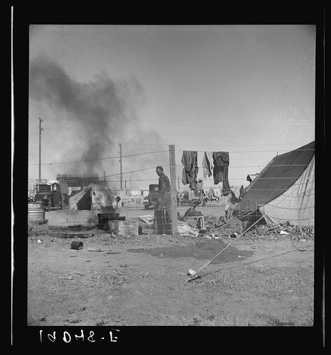 Living conditions for migratory laborers in private auto camp. Tent space fifty cents per week. Calipatria, Imperial County