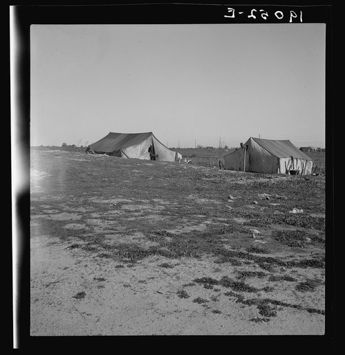 Untitled photo, possibly related to: Migrants' tents are a common sight along the right of way of the southern pacific. Near Fresno, California