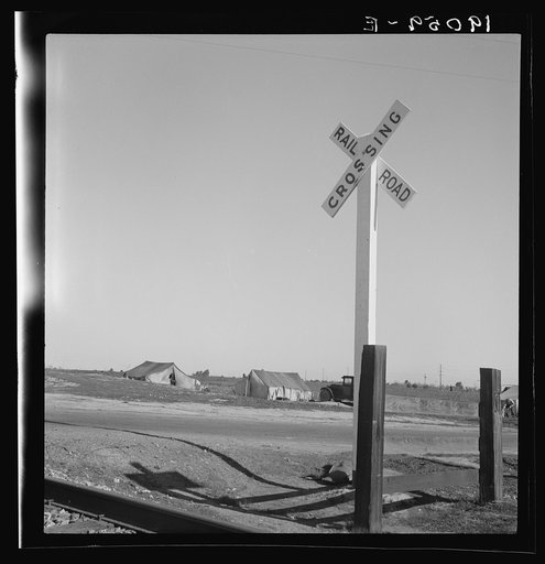 Untitled photo, possibly related to: Near Fresno, California. Migrants' tents are a common sight along the right of way of the Southern Pacific