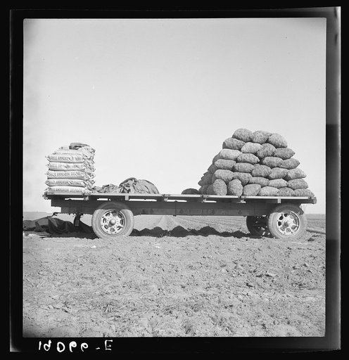 Untitled photo, possibly related to: Kern County, California. Supply of fertilizer and potato seed on edge of field in which mechanical potato planter is operating