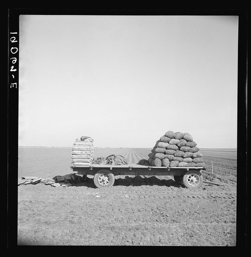 Untitled photo, possibly related to: Kern County, California. Supply of fertilizer and potato seed on edge of field in which mechanical potato planter is operating