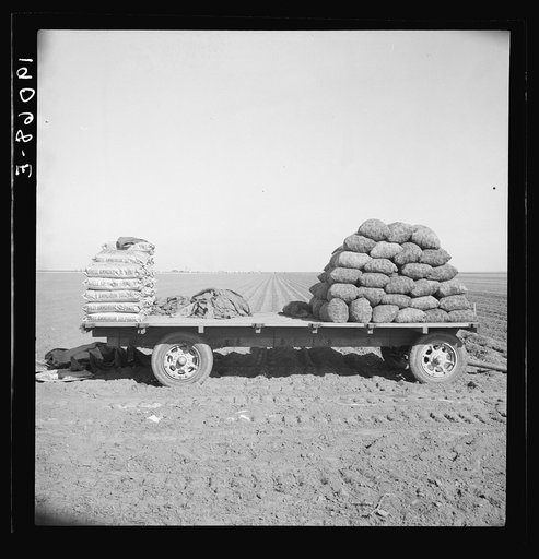 Kern County, California. Supply of fertilizer and potato seed on edge of field in which mechanical potato planter is operating