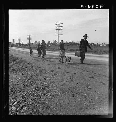 On U.S. 99. Near Brawley, Imperial County. Homeless family of seven, walking the highway from Phoenix, Arizona, where they picked cotton. Bound for San Diego, where the father hopes to get on the relief because he once lived there