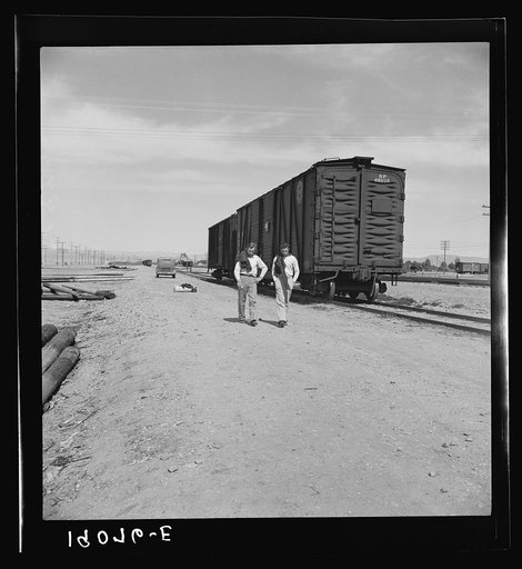 Untitled photo, possibly related to: Car on siding across tracks from pea packing plant. Twenty-five year old itinerant, originally from Oregon. "On the road eight years, all over the country, every state in the union, back and forth, pick up a job here and there, travelling all the time." Calipatri
